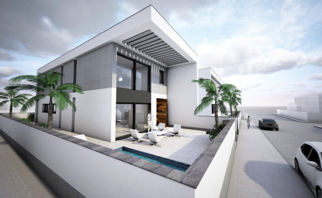 Palmeras 08