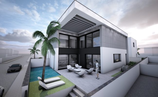 Palmeras 10